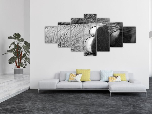 Obraz - Sloní noha (210x100 cm)