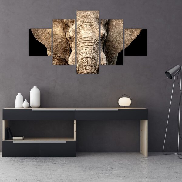 Obraz - Slon africký (125x70 cm)