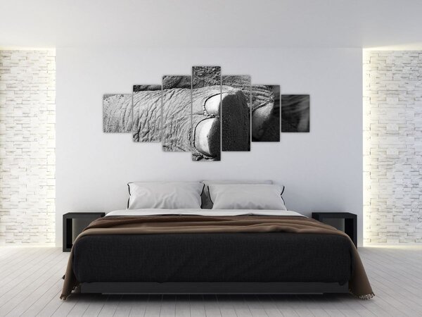 Obraz - Sloní noha (210x100 cm)