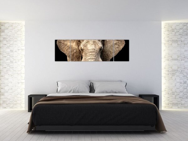 Obraz - Slon africký (170x50 cm)