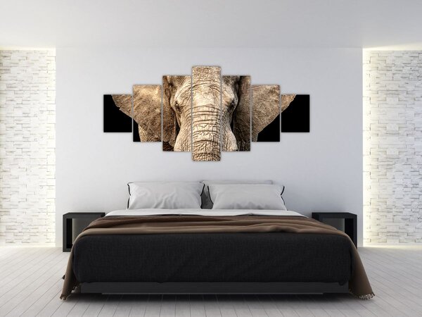 Obraz - Slon africký (210x100 cm)
