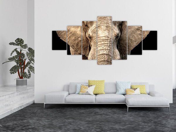 Obraz - Slon africký (210x100 cm)