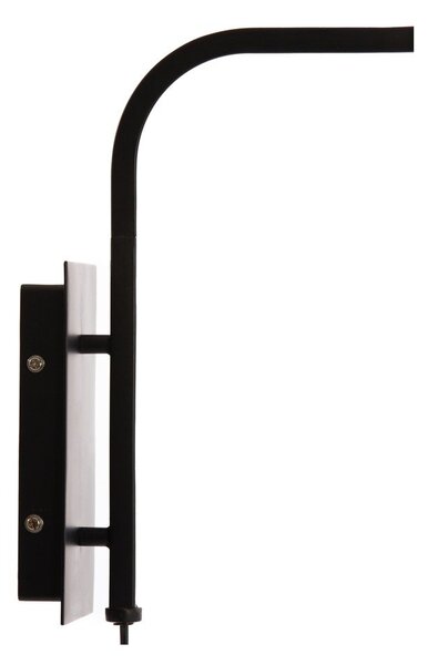 Kovové nástěnné svítidlo do zásuvky v přírodní barvě ø 43 cm Lyra – Light & Living