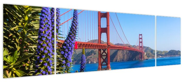 Obraz - Golden Gate Bridge, San Francisco (170x50 cm)
