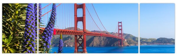 Obraz - Golden Gate Bridge, San Francisco (170x50 cm)