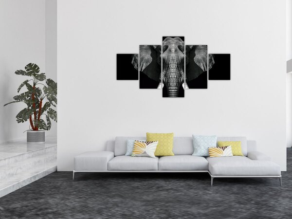 Obraz - Slon na černém pozadí (125x70 cm)
