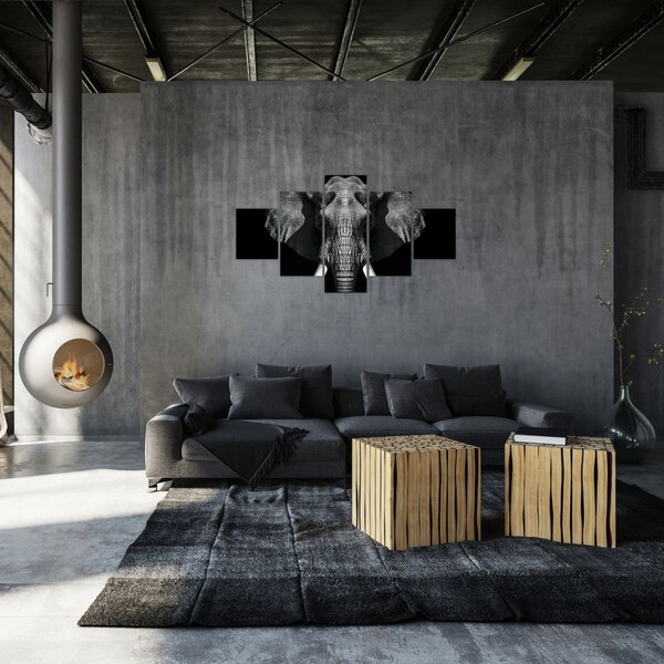 Obraz - Slon na černém pozadí (125x70 cm)