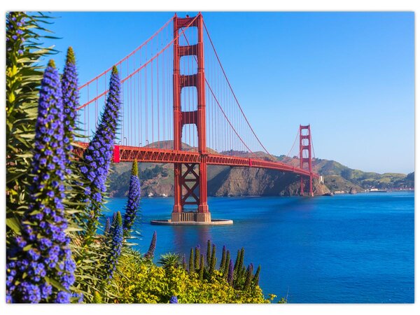 Obraz - Golden Gate Bridge, San Francisco (70x50 cm)