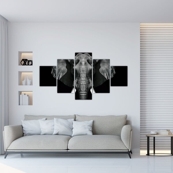 Obraz - Slon na černém pozadí (125x70 cm)