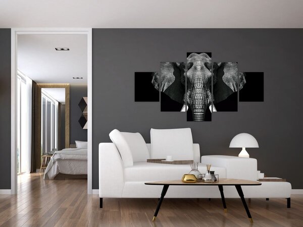 Obraz - Slon na černém pozadí (125x70 cm)