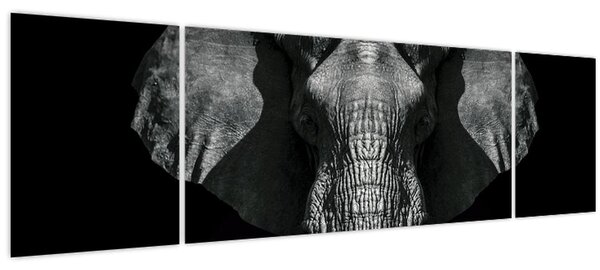 Obraz - Slon na černém pozadí (170x50 cm)