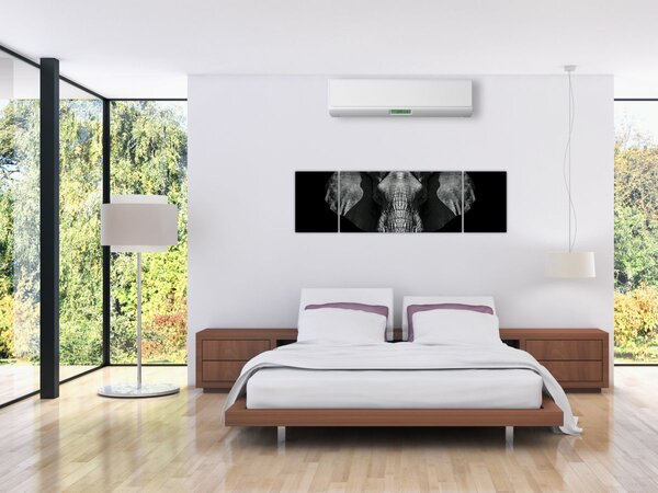Obraz - Slon na černém pozadí (170x50 cm)