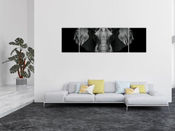 Obraz - Slon na černém pozadí (170x50 cm)