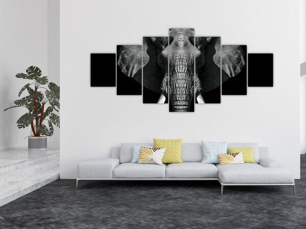 Obraz - Slon na černém pozadí (210x100 cm)