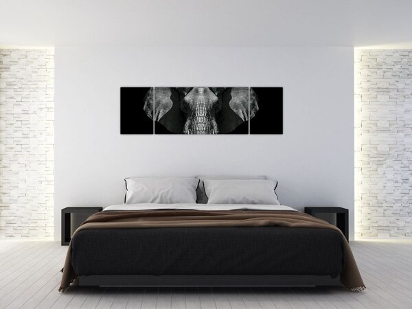 Obraz - Slon na černém pozadí (170x50 cm)