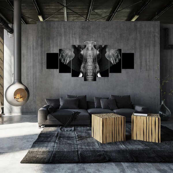 Obraz - Slon na černém pozadí (210x100 cm)