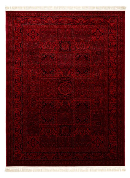 Dywany Łuszczów, Kusový koberec Orient 5365 vínový, 100x200, červená, kancelář