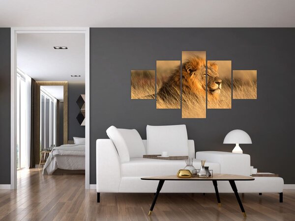 Obraz - Národní park Etosha (125x70 cm)