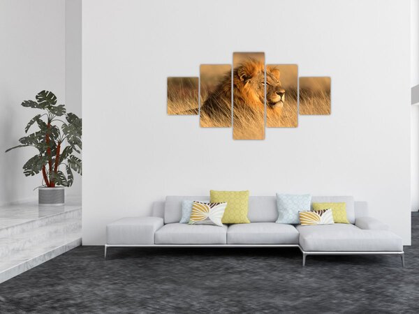 Obraz - Národní park Etosha (125x70 cm)