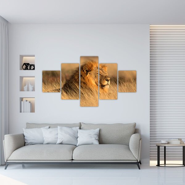 Obraz - Národní park Etosha (125x70 cm)