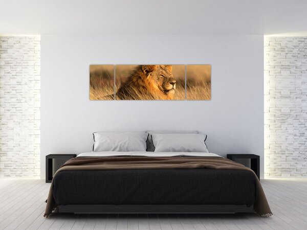Obraz - Národní park Etosha (170x50 cm)