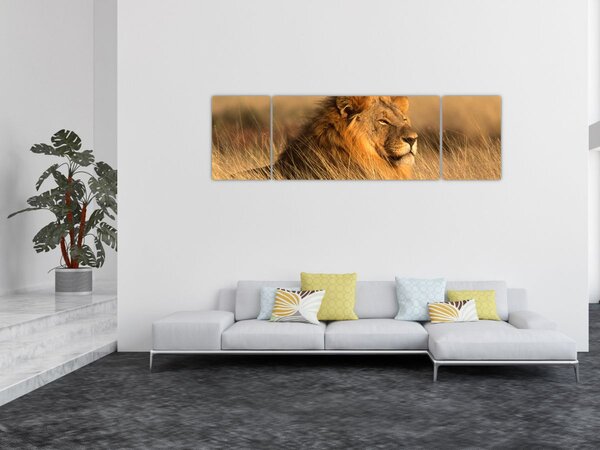 Obraz - Národní park Etosha (170x50 cm)
