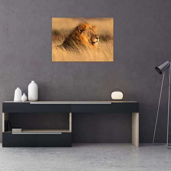 Obraz - Národní park Etosha (70x50 cm)