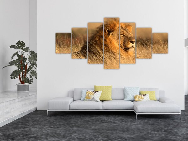 Obraz - Národní park Etosha (210x100 cm)
