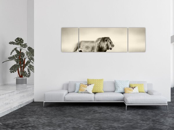 Obraz - Hladový lev (170x50 cm)