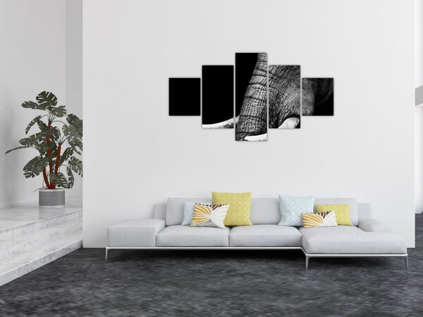 Obraz - Sloní kly (125x70 cm)