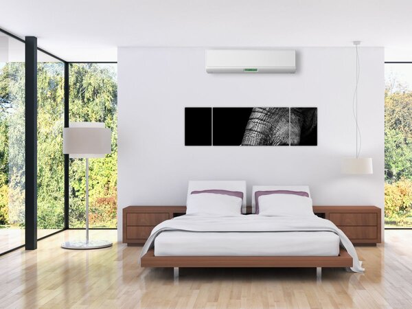 Obraz - Sloní kly (170x50 cm)