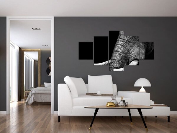 Obraz - Sloní kly (125x70 cm)