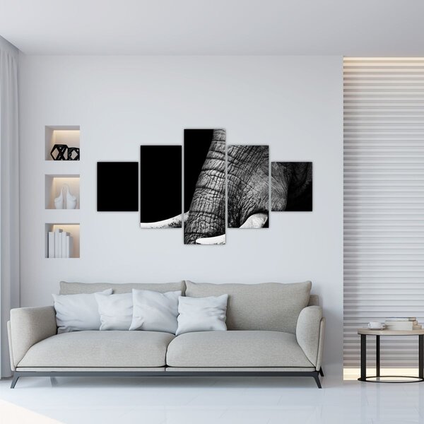 Obraz - Sloní kly (125x70 cm)