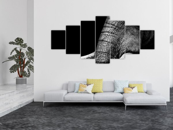 Obraz - Sloní kly (210x100 cm)