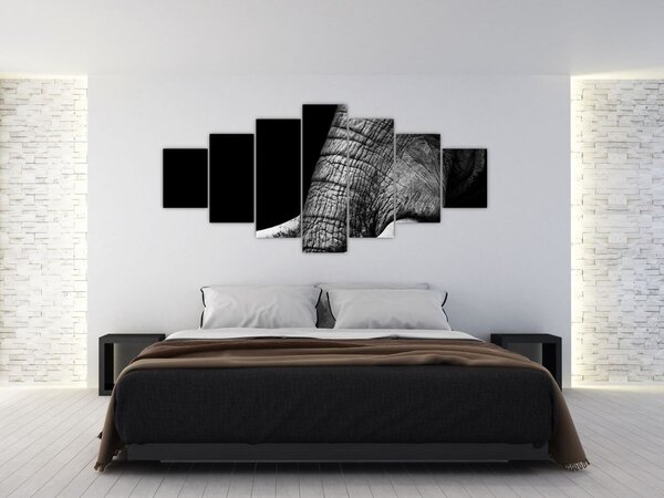 Obraz - Sloní kly (210x100 cm)
