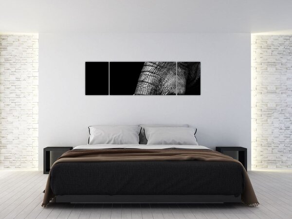 Obraz - Sloní kly (170x50 cm)