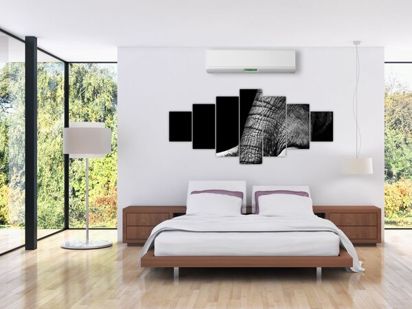 Obraz - Sloní kly (210x100 cm)