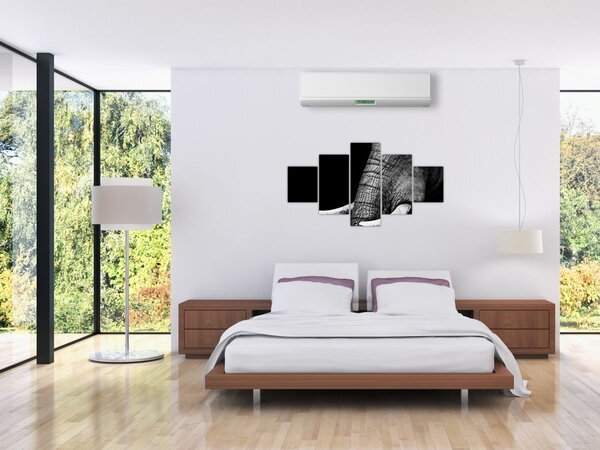 Obraz - Sloní kly (125x70 cm)