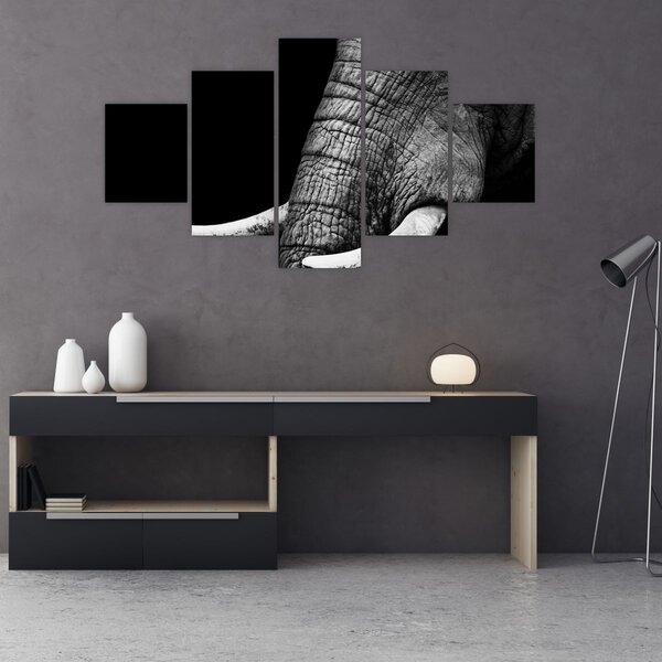 Obraz - Sloní kly (125x70 cm)
