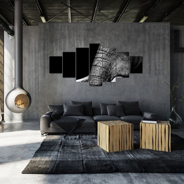 Obraz - Sloní kly (210x100 cm)
