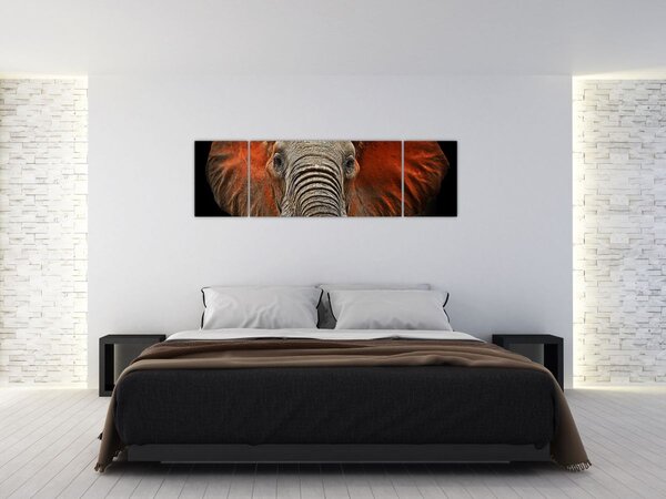 Obraz - Sloni z Tsavo (170x50 cm)