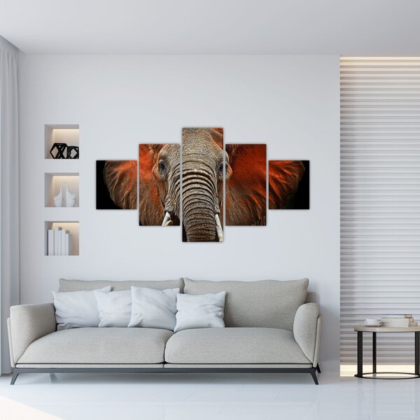 Obraz - Sloni z Tsavo (125x70 cm)
