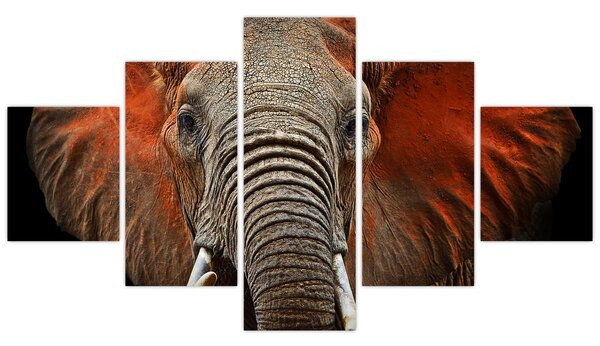 Obraz - Sloni z Tsavo (125x70 cm)