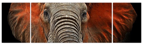 Obraz - Sloni z Tsavo (170x50 cm)