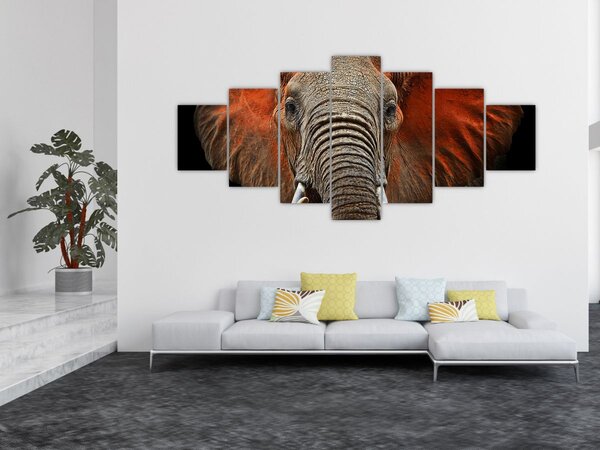 Obraz - Sloni z Tsavo (210x100 cm)
