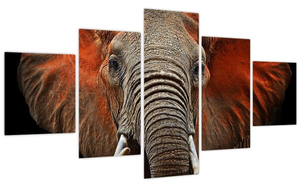 Obraz - Sloni z Tsavo (125x70 cm)