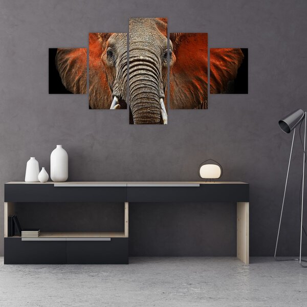 Obraz - Sloni z Tsavo (125x70 cm)