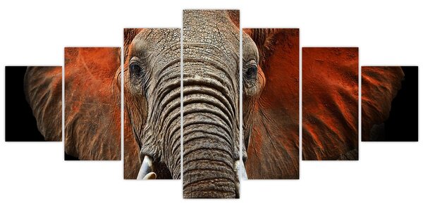 Obraz - Sloni z Tsavo (210x100 cm)