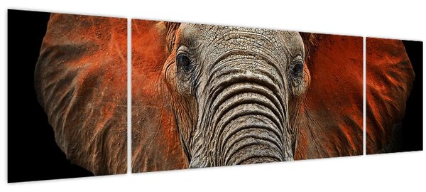 Obraz - Sloni z Tsavo (170x50 cm)