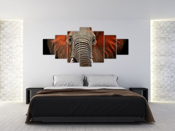 Obraz - Sloni z Tsavo (210x100 cm)